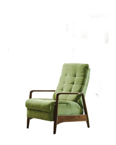 Dario Push Back Chair - Kiwi